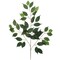 12-Pack Artificial Ficus Branches — 22" Stems with 42 Silk Leaves Each, Faux Greenery for Vases, Bouquets & DIY Arrangements | Floral Home